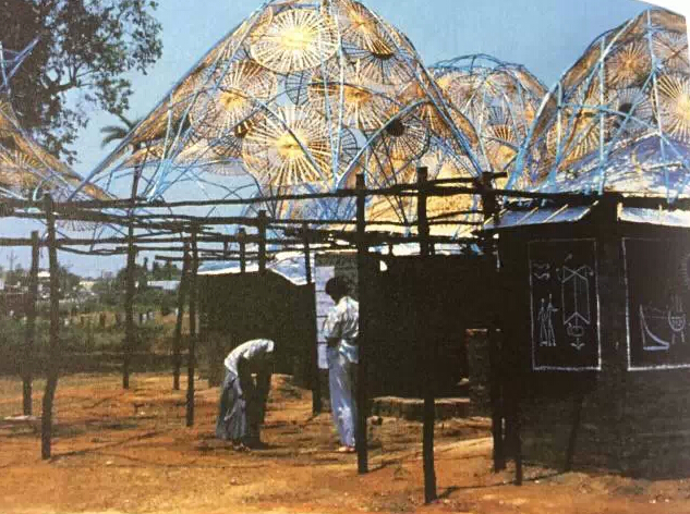 295.jpg